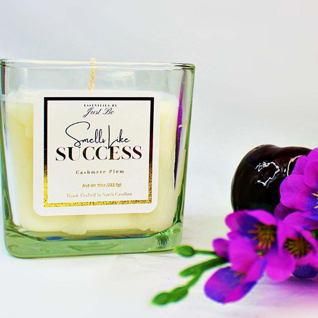 10oz Smells Like Success - Cashmere Plum Scented Candles